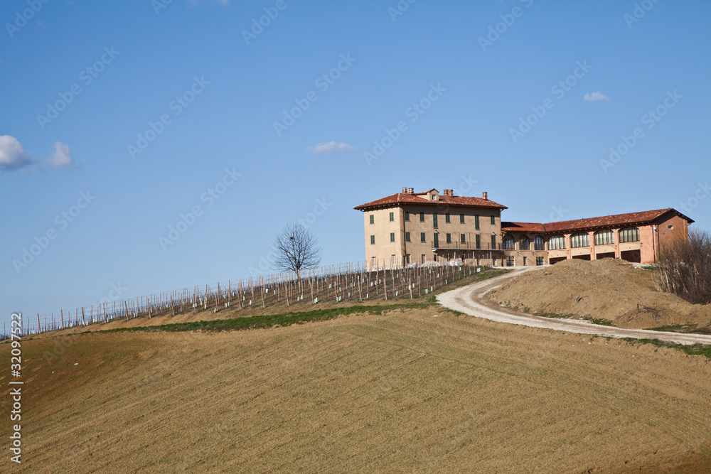 Fototapeta premium Italian villa with vineyard: spring season