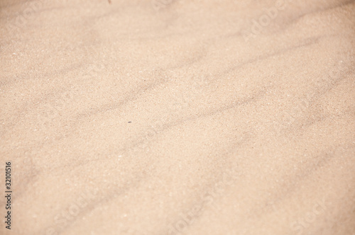 sand on the beach close up © tarczas