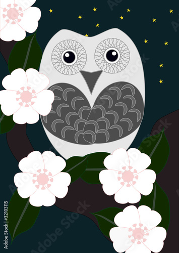 Snowy Owl