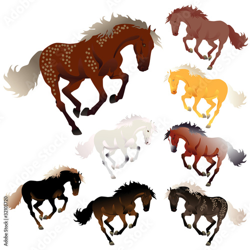 Vector collection of different colors of horses