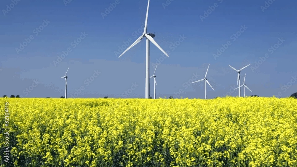Windpark mit Rapsfeld Windpark mit Rapsfeld