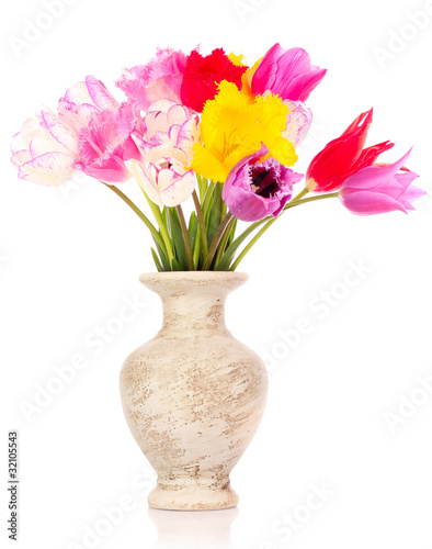 Tulips in vase isolated on white