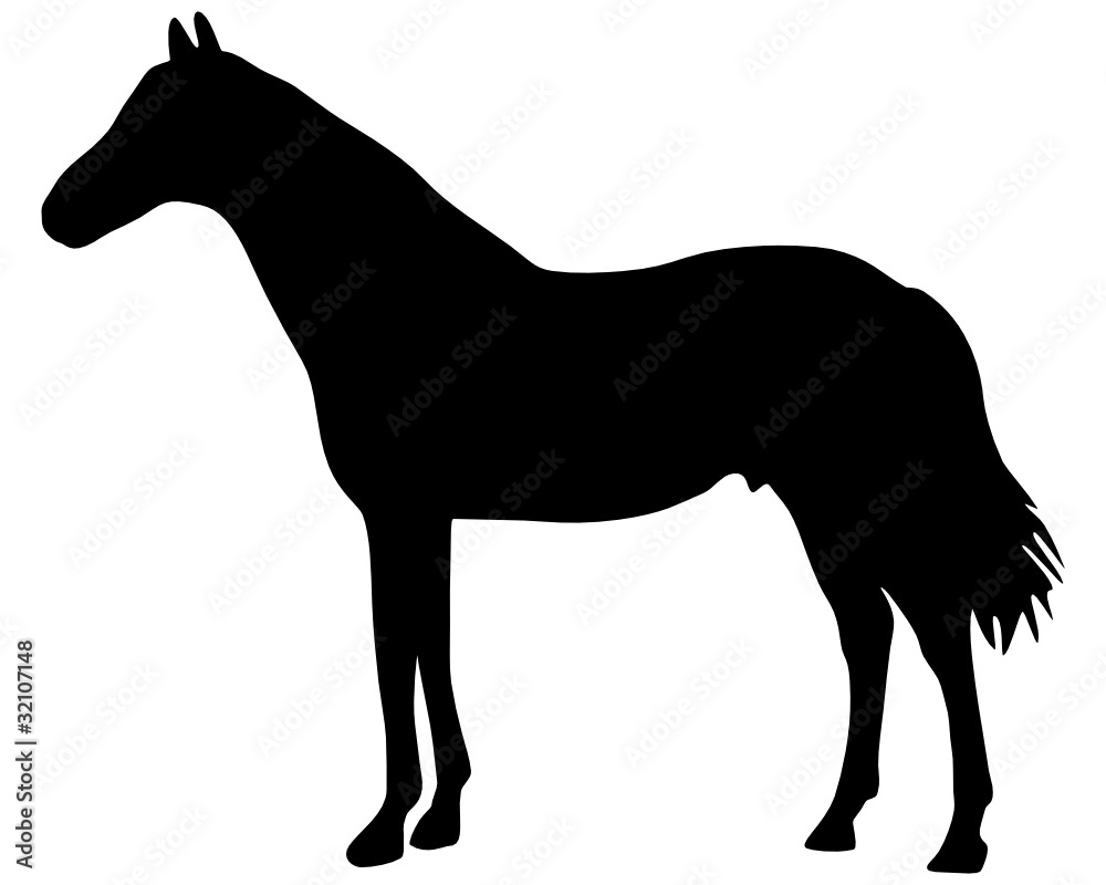 Pferd Silhouette Stock Vector | Adobe Stock