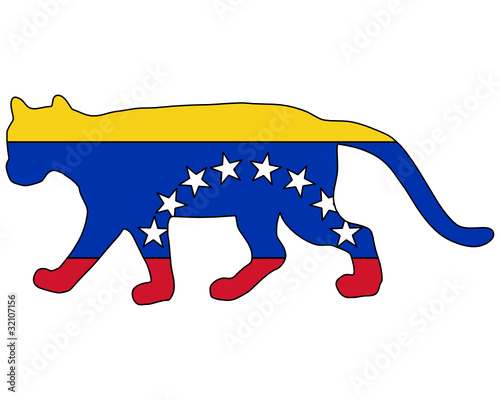 Puma Venezuela