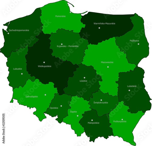 Vector maps of Poland