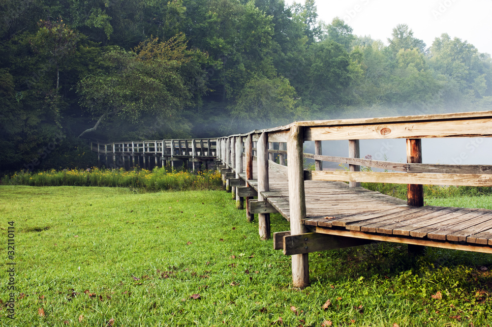 Fototapeta premium Bridge into the woods