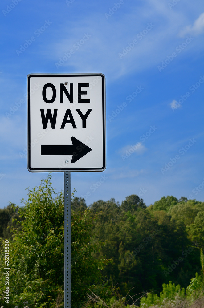 One Way Sign in a Rural Setting