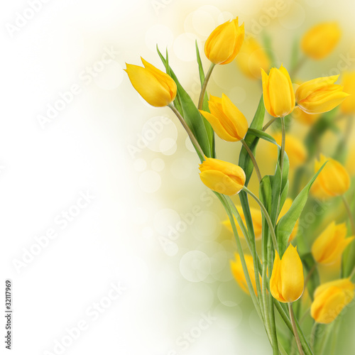 Yellow tulips with copy space