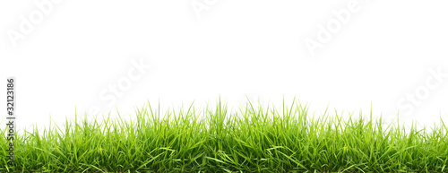 Tableau sur toile fresh spring green grass