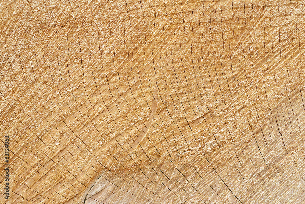 Naklejka premium Wood Texture/Backgrounds