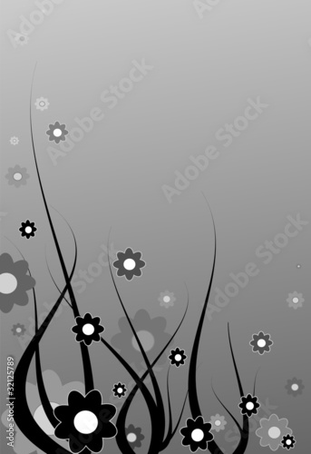 flower black white background