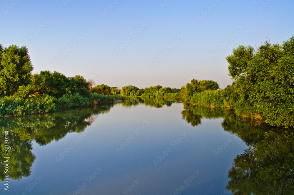 Water mirror. Pond, green vegetation