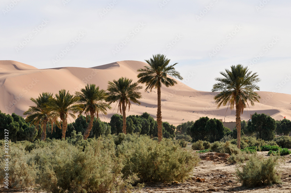 The Great Dune, Erg Chebbi, Merzouga, Morocco, Africa