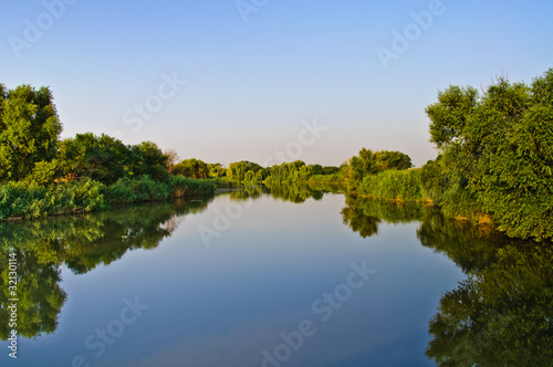 Water mirror. Pond  green vegetation