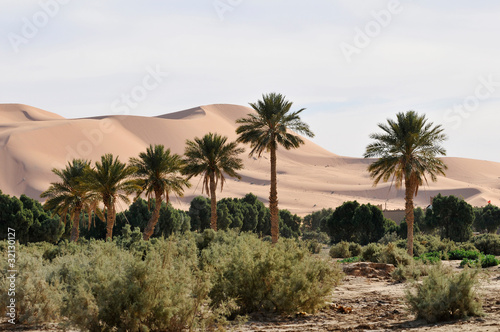 The Great Dune  Erg Chebbi  Merzouga  Morocco  Africa