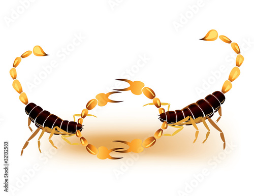 Abstract scorpions fighting on a white background
