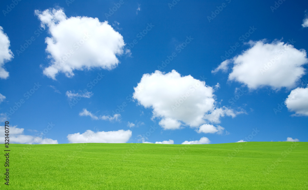 Green grass and sky