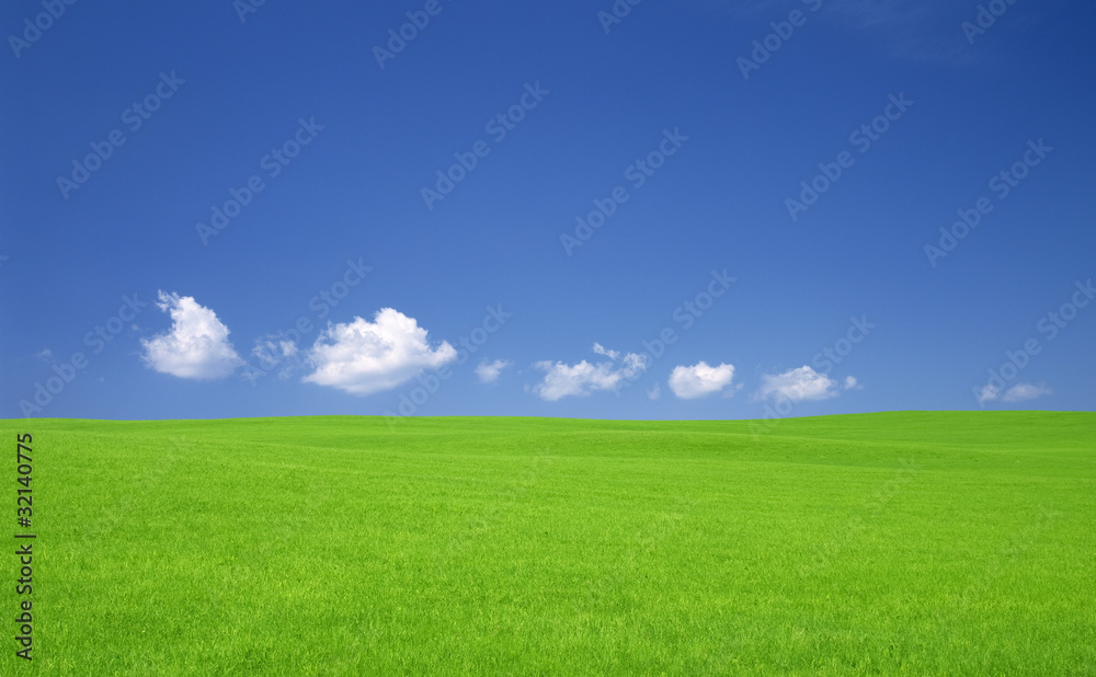 Green grass and sky Green grass and sky