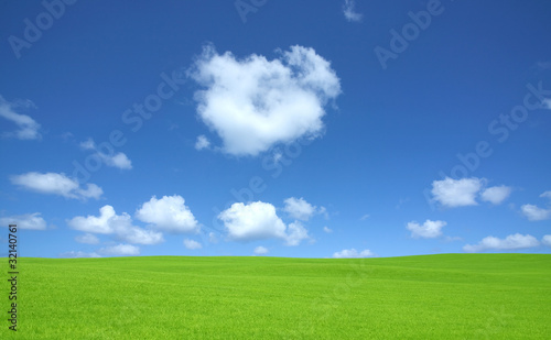 Green grass and sky
