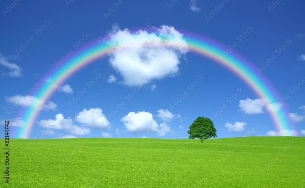 Green field with lone tree and rainbow Green field with lone tree and rainbow
