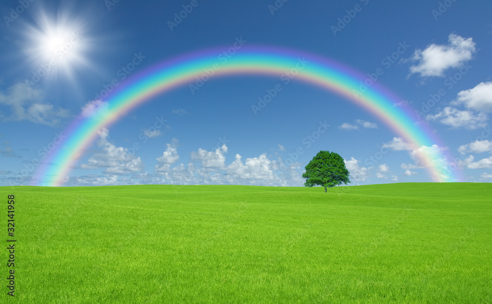 Green field with lone tree and rainbow Green field with lone tree and rainbow