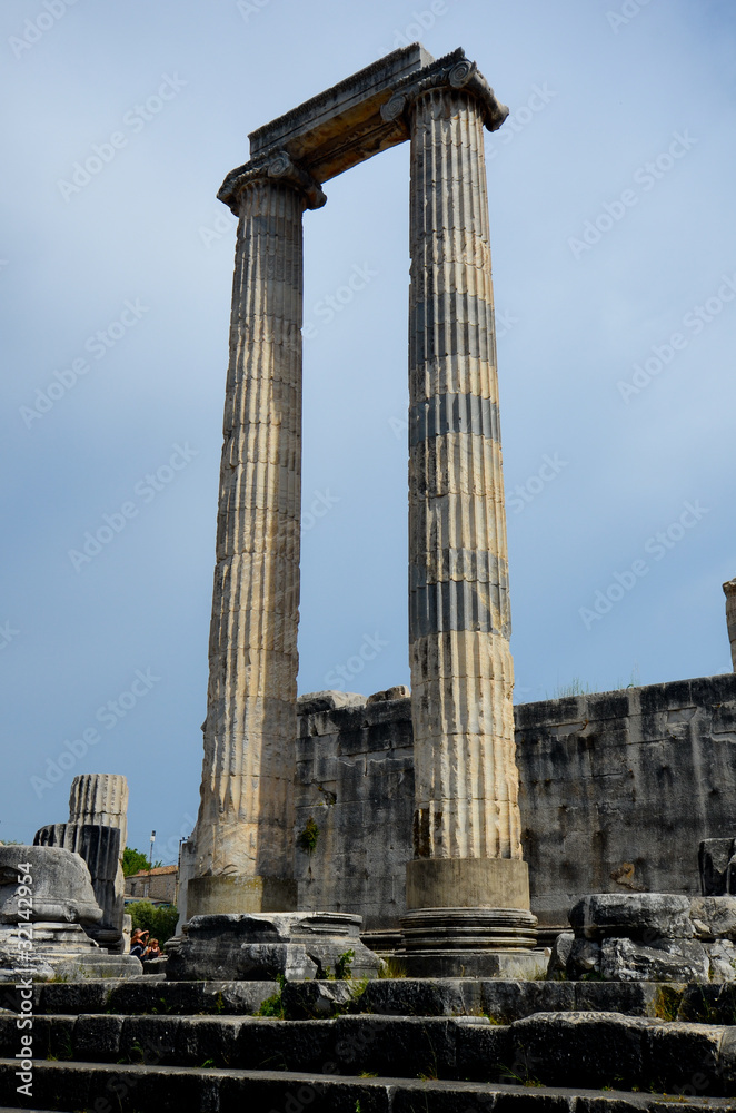Les colonnes du temple d'Apollon à Didim