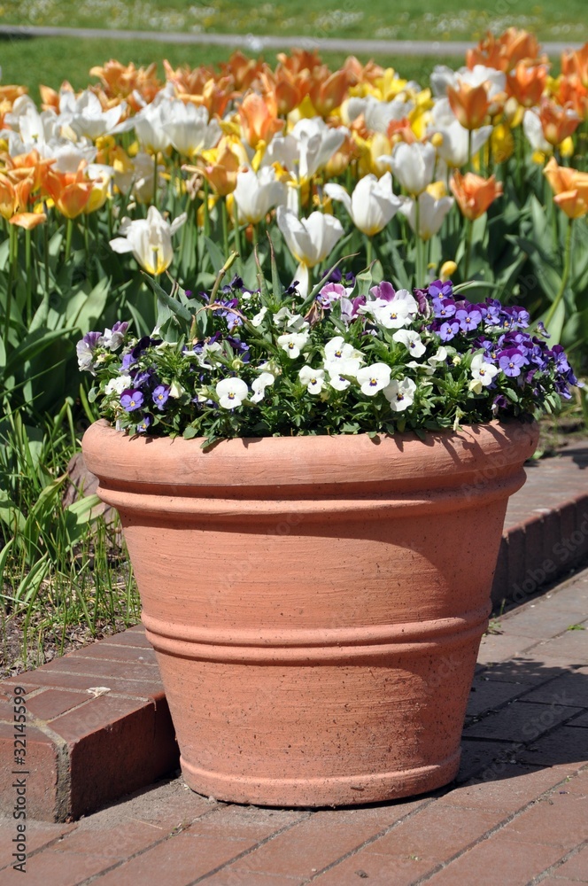 XXL Blumentopf XXL Blumentopf