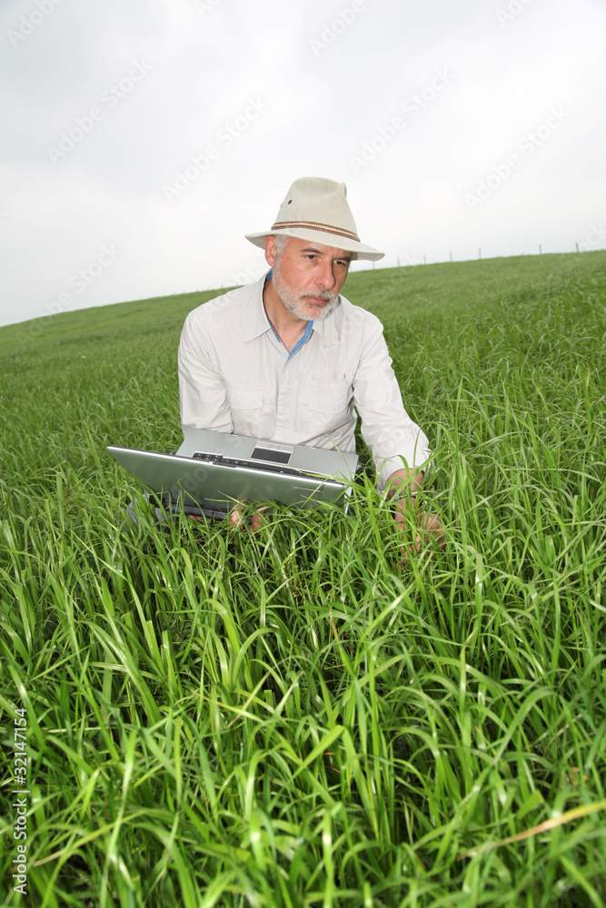 Farmer examining crop with laptop computer Farmer examining crop with laptop computer