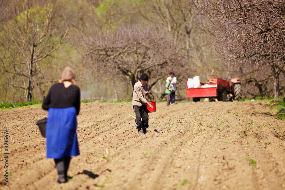 Family of farmers sowing on their land Family of farmers sowing on their land