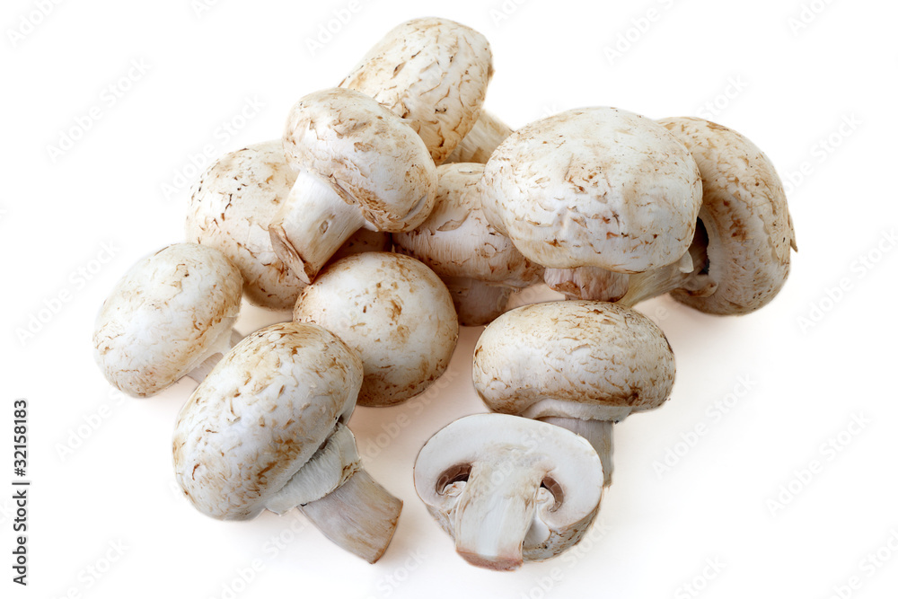 Field mushrooms Field mushrooms