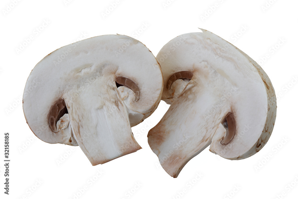 Field mushrooms are isolated on a white background Field mushrooms are isolated on a white background