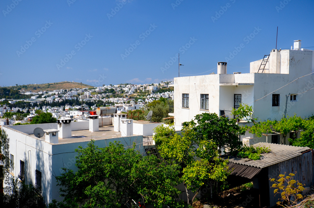 Fototapeta premium Les maisons blanches de Bodrum
