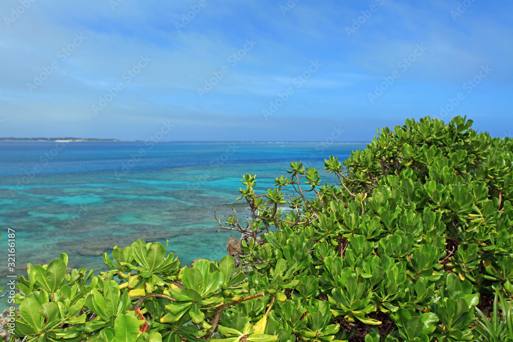 高台から見たコマカ島の風景