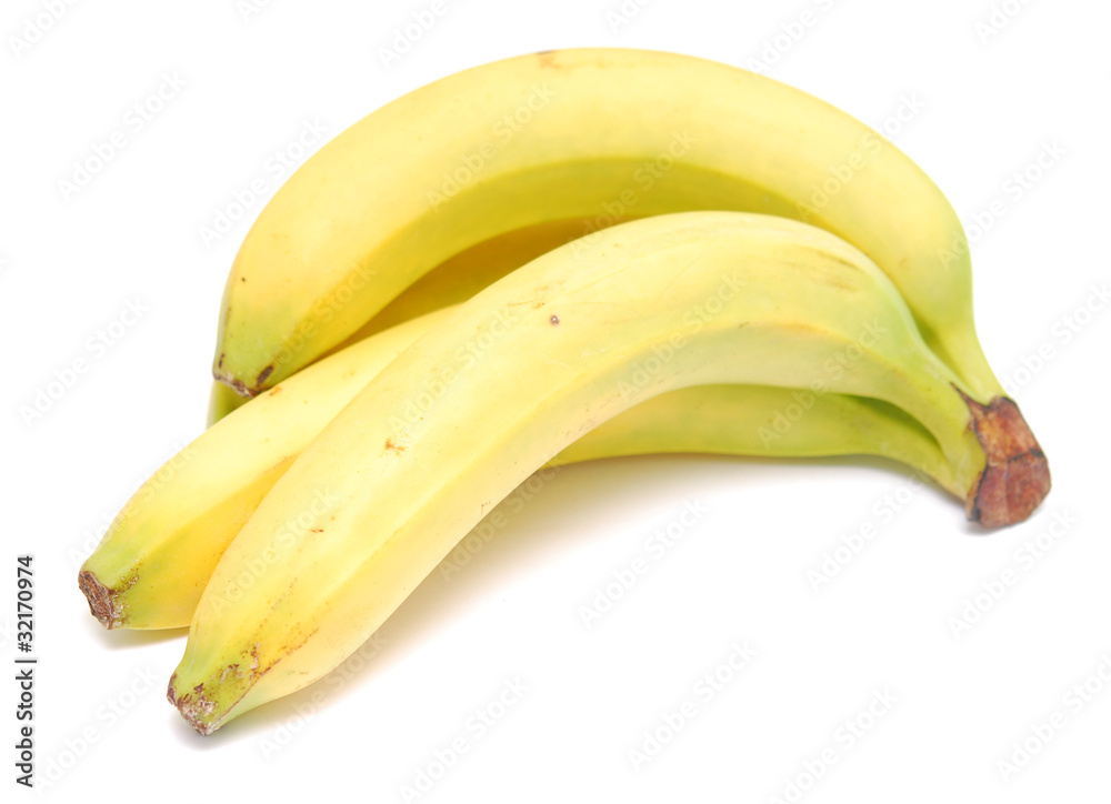 banana banana