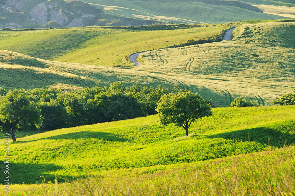 Toskana Huegel  - Tuscany hills 54