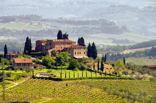 Toskana Weingut - Tuscany vineyard 03