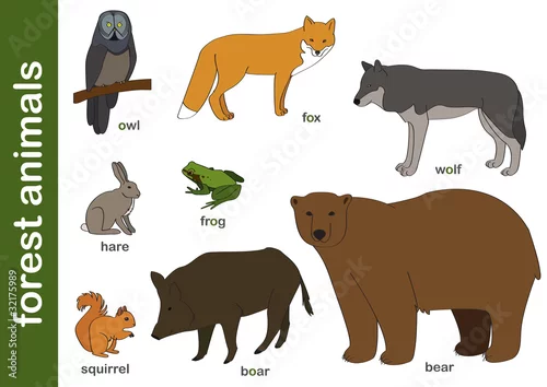 Obraz zwierzęta leśne / forest animals