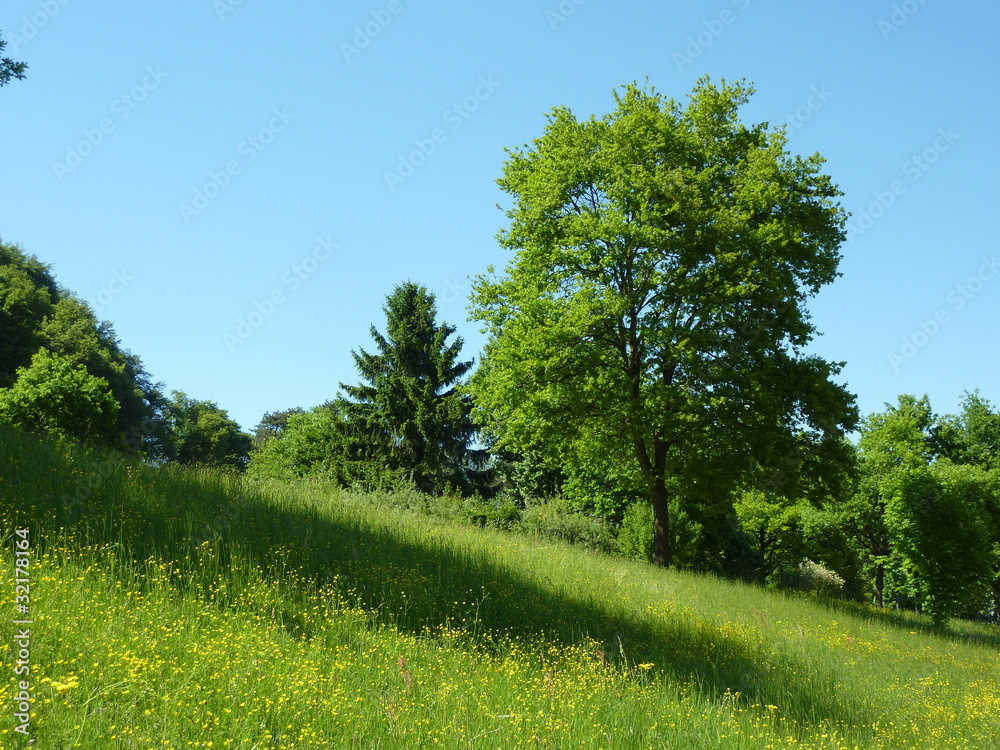 Fototapeta premium Frühling in Bayern