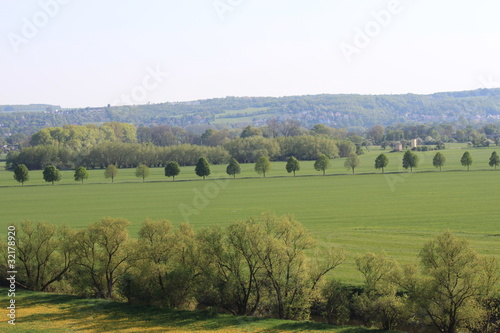 Wallpaper Mural Baum-Kette in Landschaft Torontodigital.ca