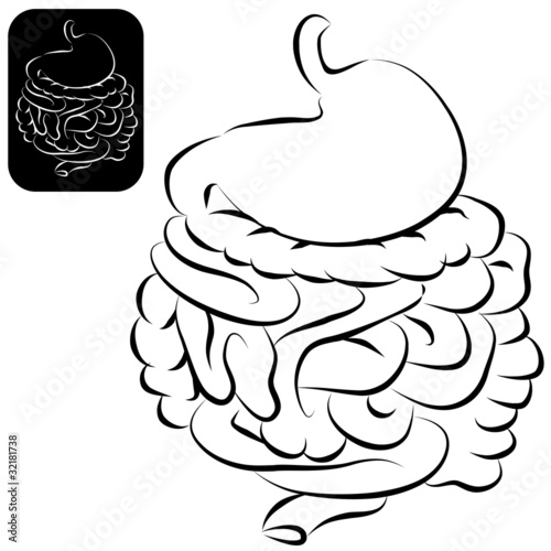 Digestive System Set