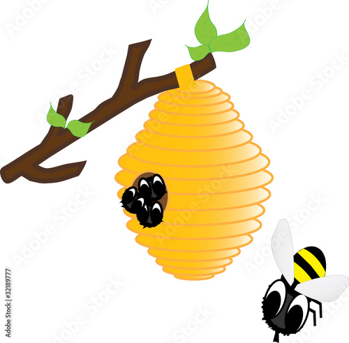 Bees in the hive