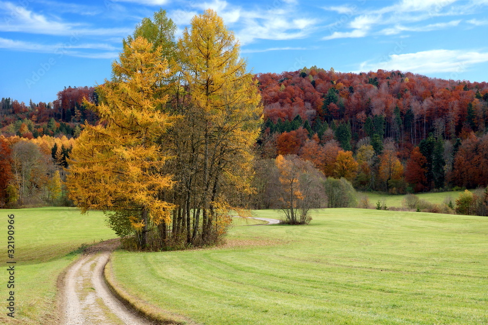 Landschaft im Herbst