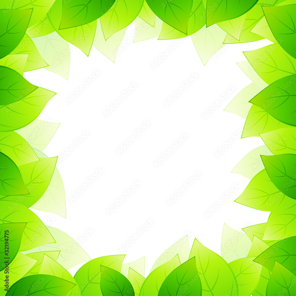 Green leaves Green leaves