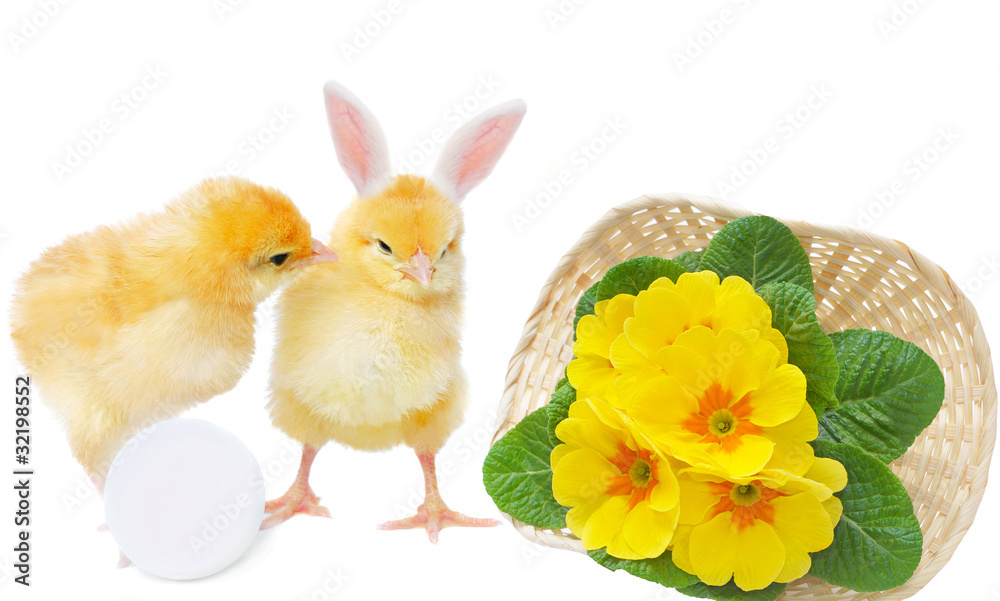 chicken with egg and bizarre bunny with basket