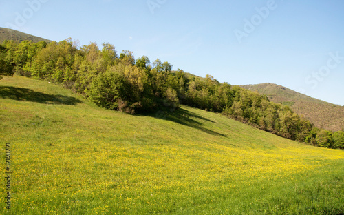 Paesaggio primaverile