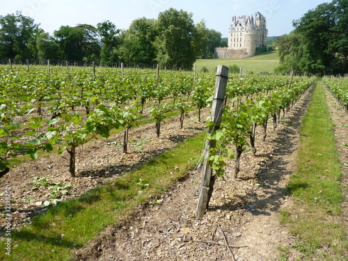 vignes et brissac