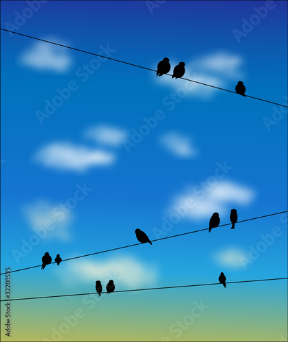 birds on the wires