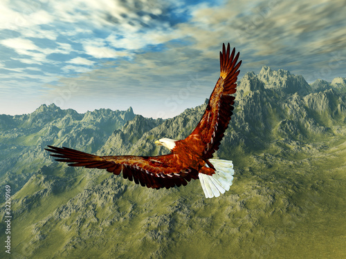 eagle in the mountains