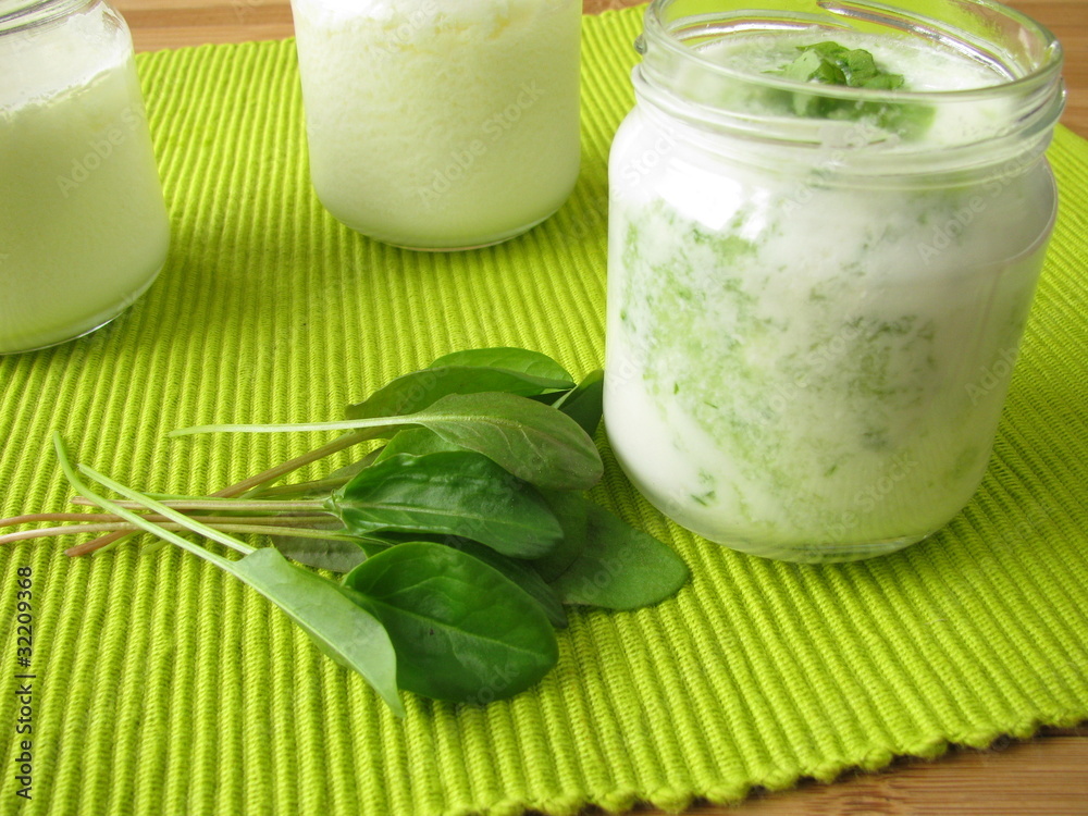 Joghurt Smoothie mit Sauerampfer Joghurt Smoothie mit Sauerampfer