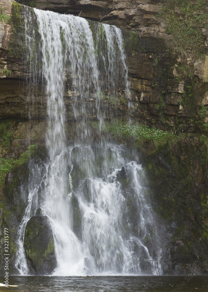 Fototapeta premium Waterfall